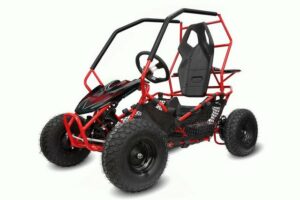 Smarty Elektro-Kinderquad Eco Gokart RACER 1000W 36V Kinderbuggy rot