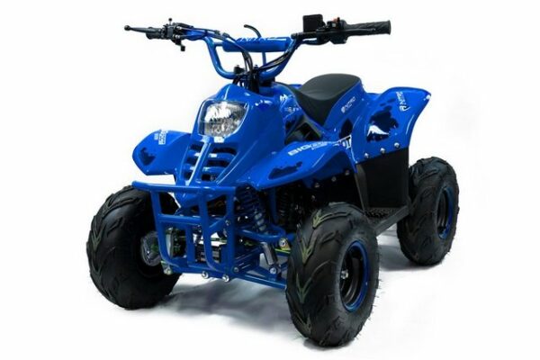 Smarty Elektro-Kinderquad 125cc BIGFOOT MIDI QUAD 6zoll Automatik blau