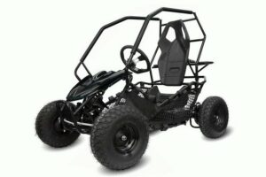 Smarty Elektro-Kinderquad Eco Gokart RACER 1000W 36V Kinderbuggy schwarz