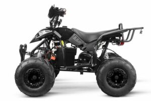 Smarty Elektro-Kinderquad 800W ECO QUAD RAZER 36V 12A 6 schwarz